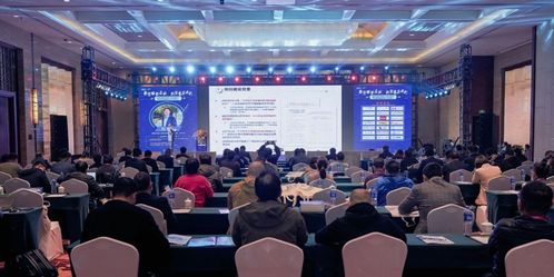 軟件專欄 探索數字時代的關鍵引擎