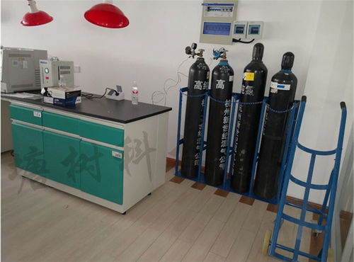 全鋼實驗臺廠 寧波全鋼實驗臺 塘樹科技